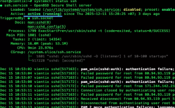 Terminal, SSH, aaPanel 